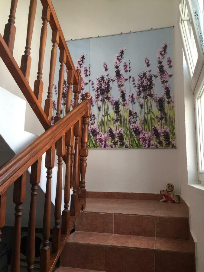 Apartments Villa Dolmar Vodice Zewnętrze zdjęcie